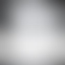 Sieze Every Opportunity