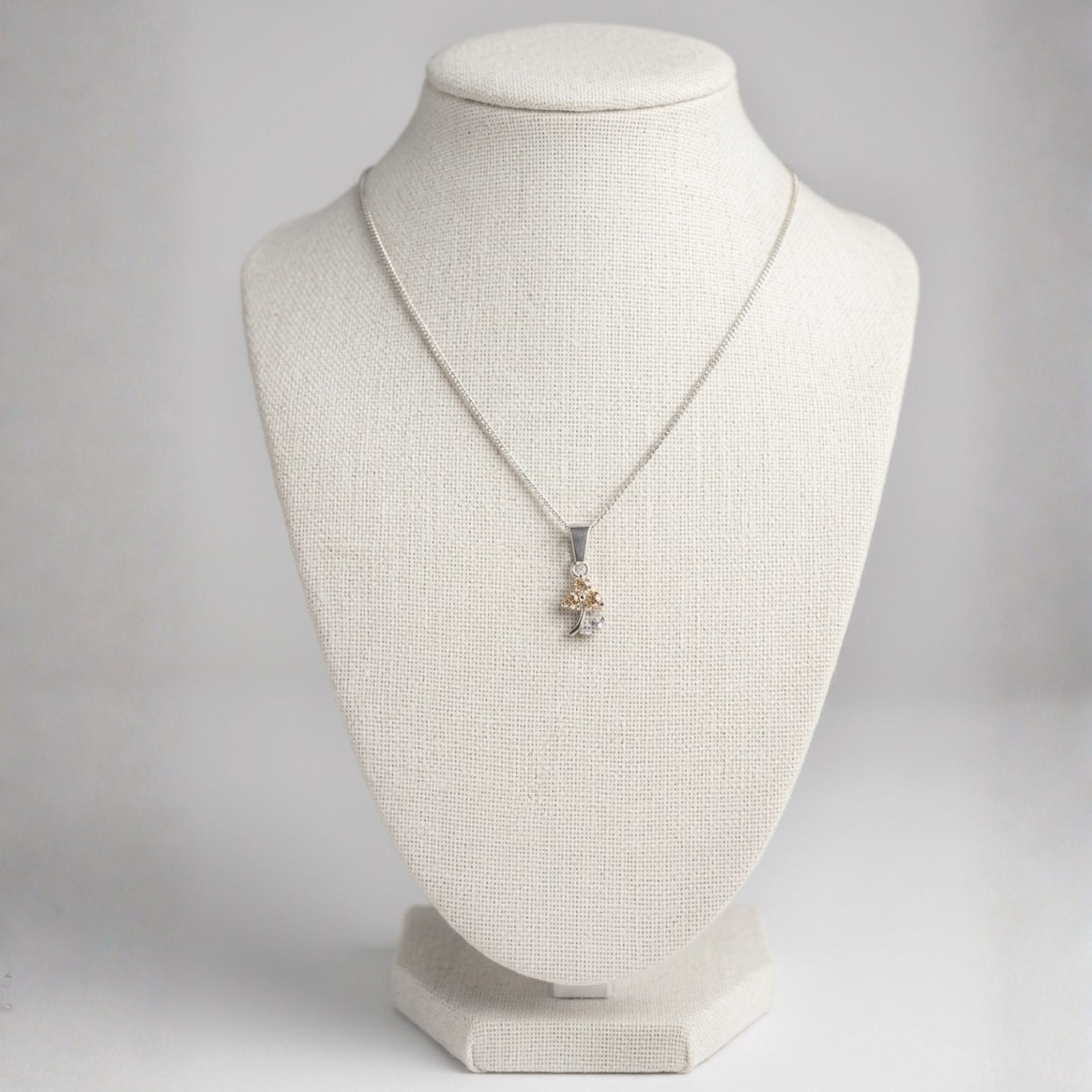 Cadena y dije de Plata