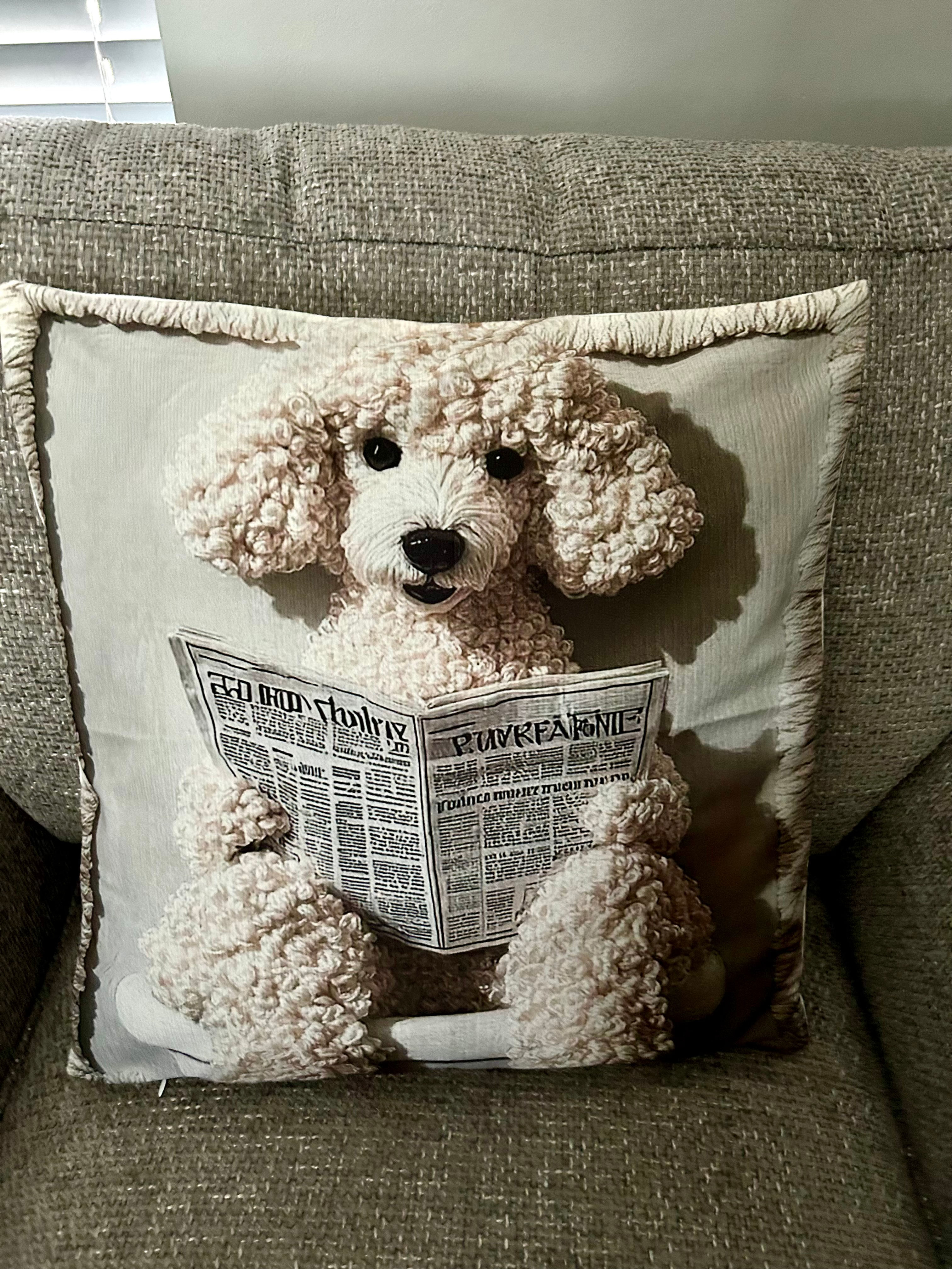 Plush Poodle with a Newspaper cushion