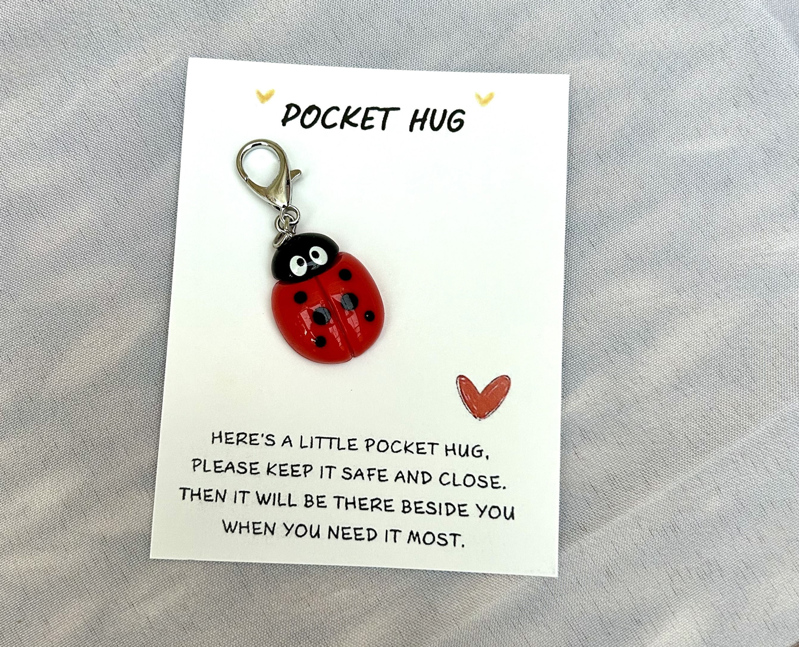 Cute Ladybird Pocket Hug
