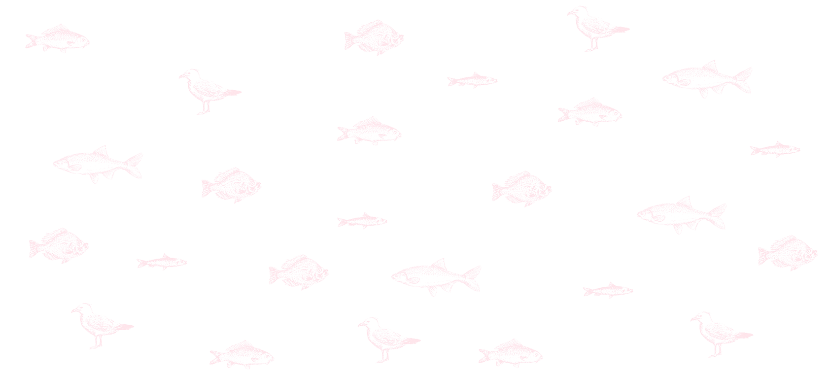 Fish%252525252520Illustration_edited_edi