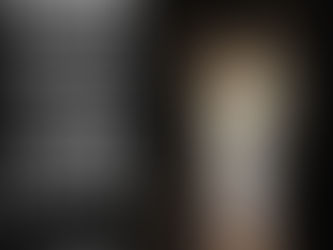 Princípio Animal Conquista Transparência na Execução da Lei Municipal 10.531/08: Justiça Obriga Porto Alegre e EPTC a Prestar Informações sobre Animais Recolhidos