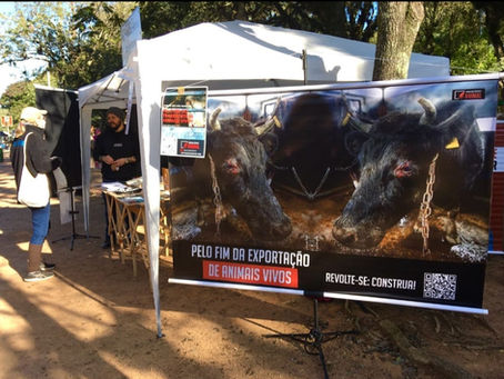 Pelo Fim do Transporte de Animais Vivos