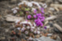 AdobeStock_91543246.jpeg