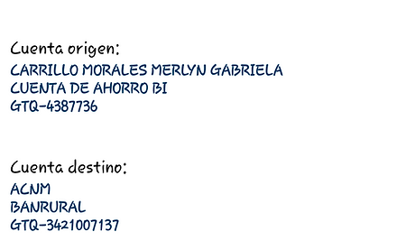 Ejemplo Boleta.jpg