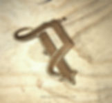 "P" Lifestyle Brand