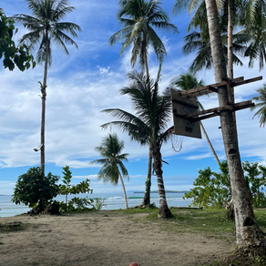 本日の波の様子　secret paradise