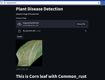 plant-disease.png