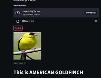 bird-classification.png