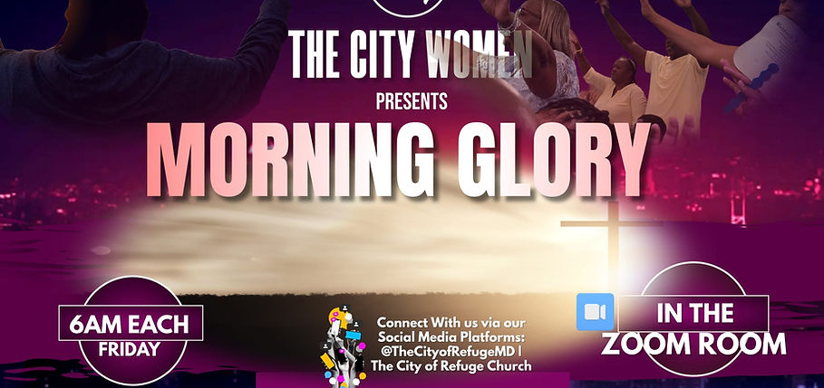 WhatsApp Image 2026-01-29 at 16.10.36.jpeg