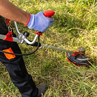 WhatsApp Image 2024-12-16 at 15.54_edited.jpg