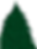 nurtannenbaum2_edited_edited.png