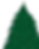 nurtannebaum_edited_edited.png