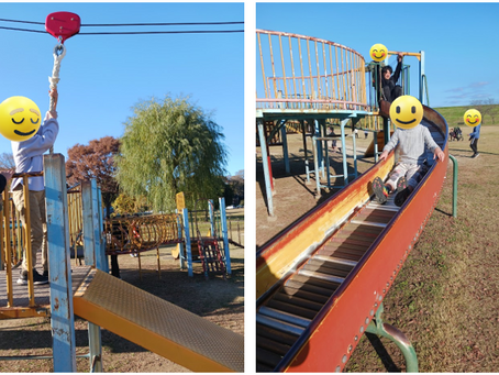 野田市スポーツ公園へ行こう!(11月17日週)