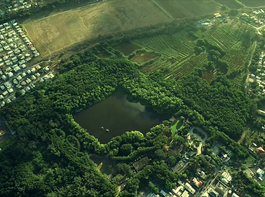 Drone 1 (1) (1).png