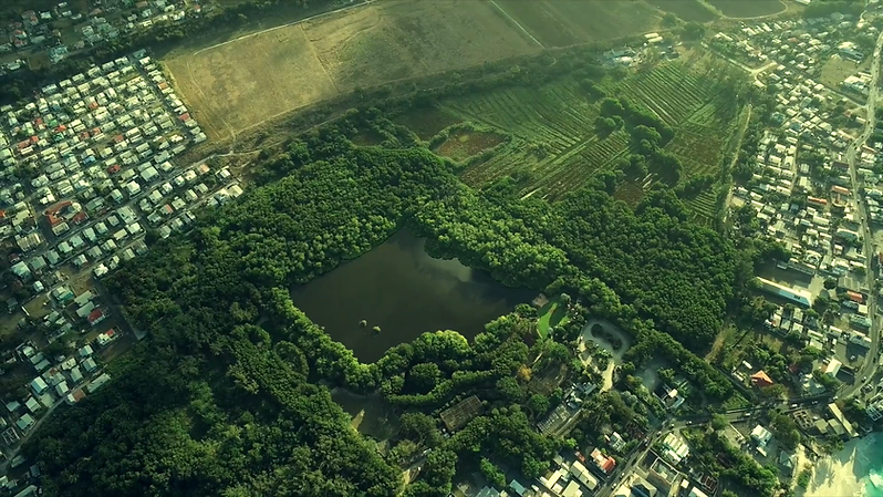 Drone 1 (1) (1).png