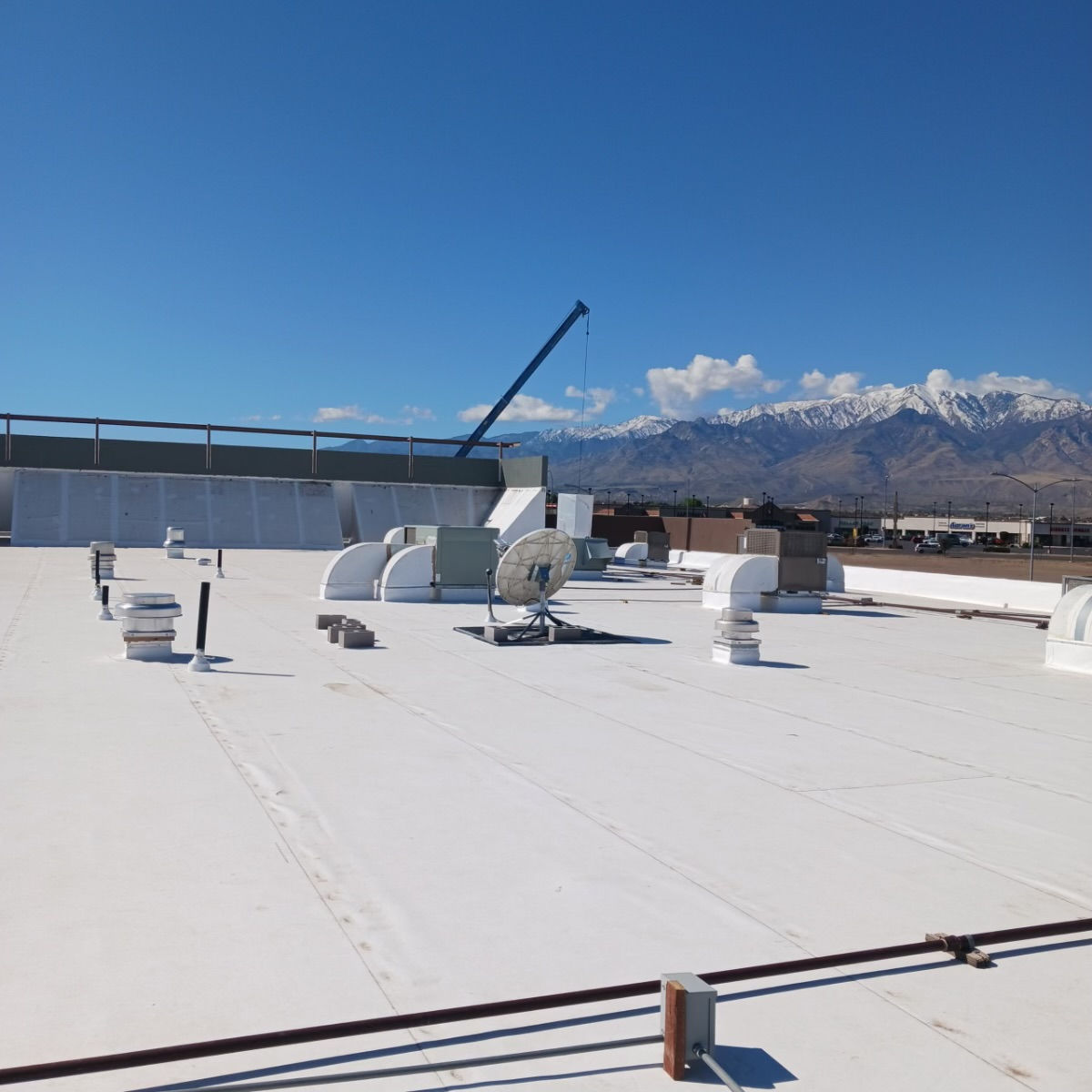 TPO Pic Safford 2.jpg