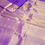 Thumbnail: Purple colour with baby pink colour Kanchipuram pure silk saree 