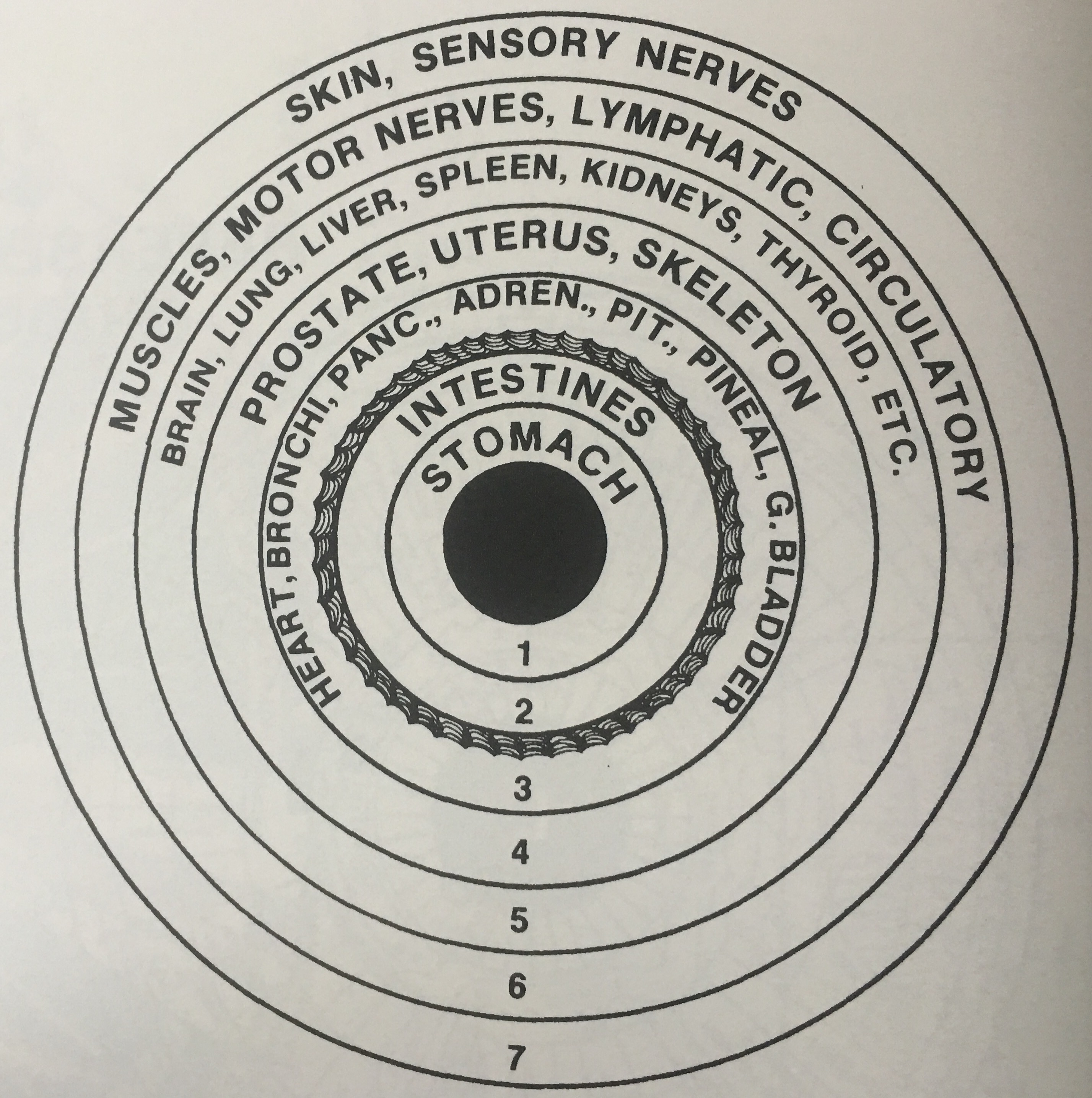 irisdiagnostik