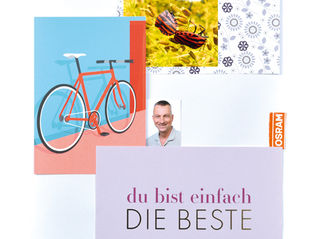 "Bloom" als Titel des entsprechenden Vis-mades von Jost Sagasser M.A.