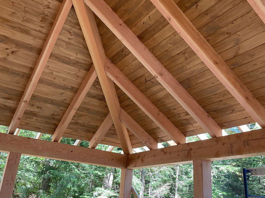 Woodview Douglas Fir structure.jpeg