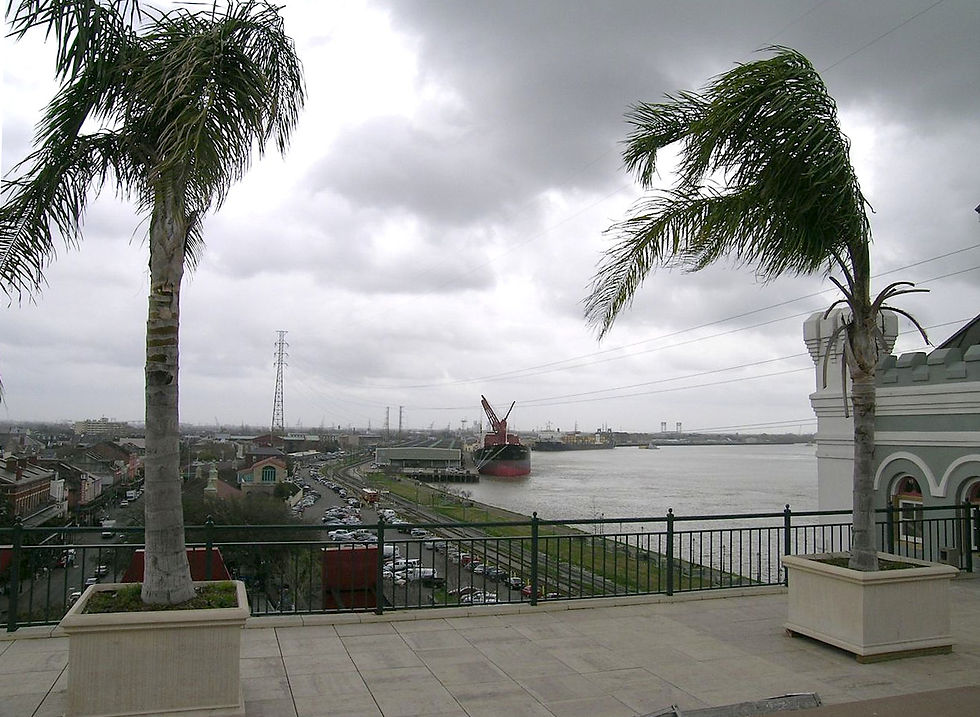 Top of Jax Brewery.jpg