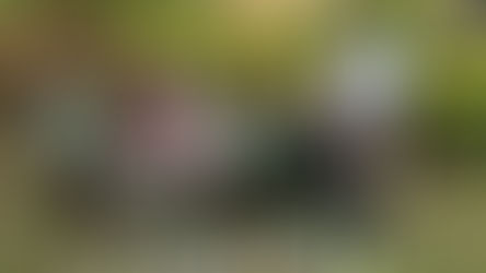 Earth Prayers - Newsletter January 2026