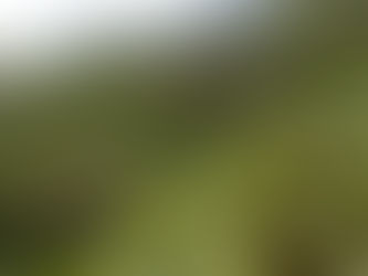 Earth Prayers - Newsletter - Abril 2026