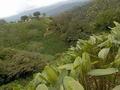 Earth Prayers - Newsletter - Abril 2026