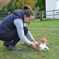 Ostéopathie chat.JPG