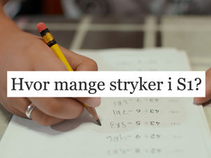 Elev som regner oppgaver i S1