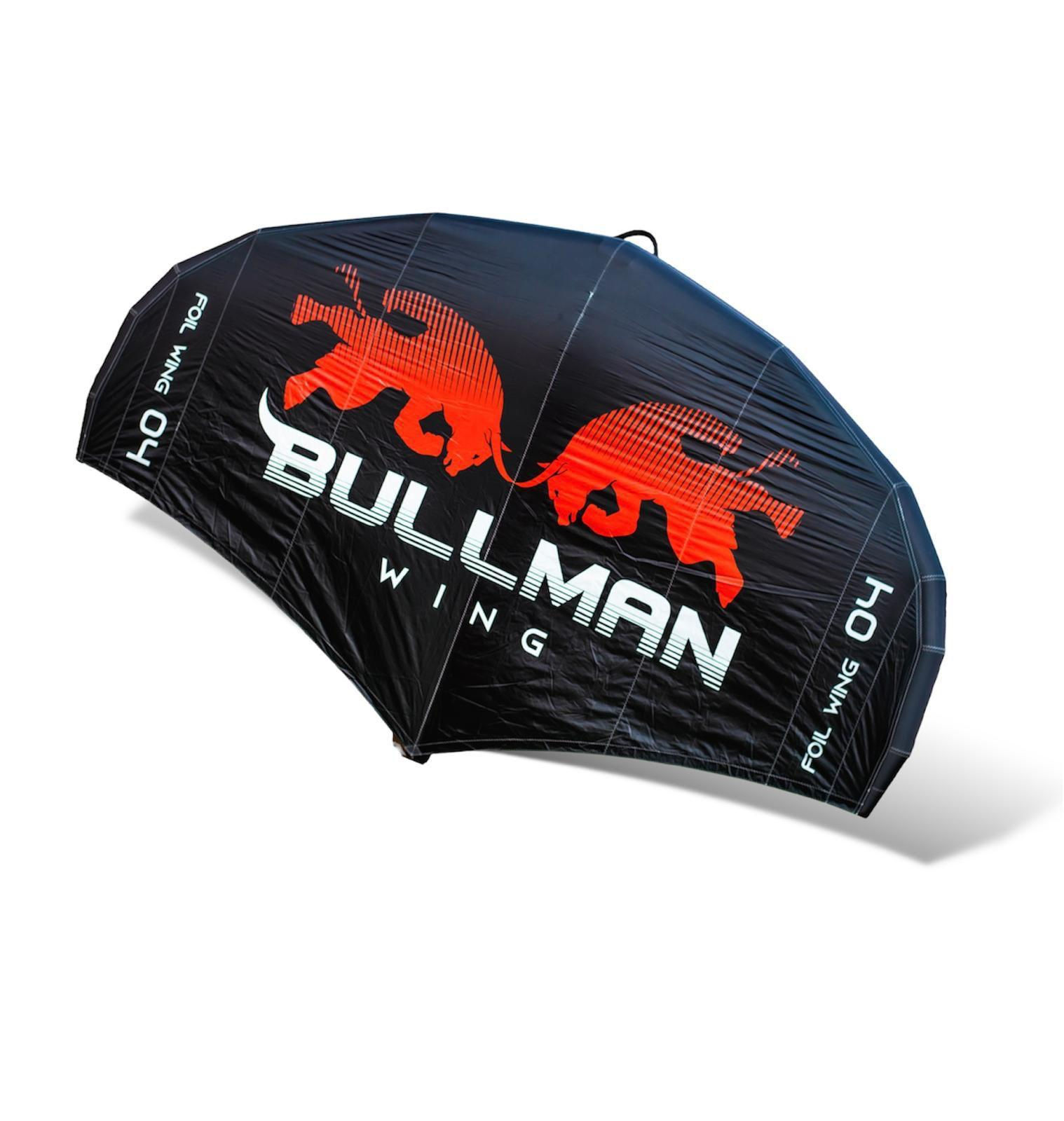Wing Bullman 04