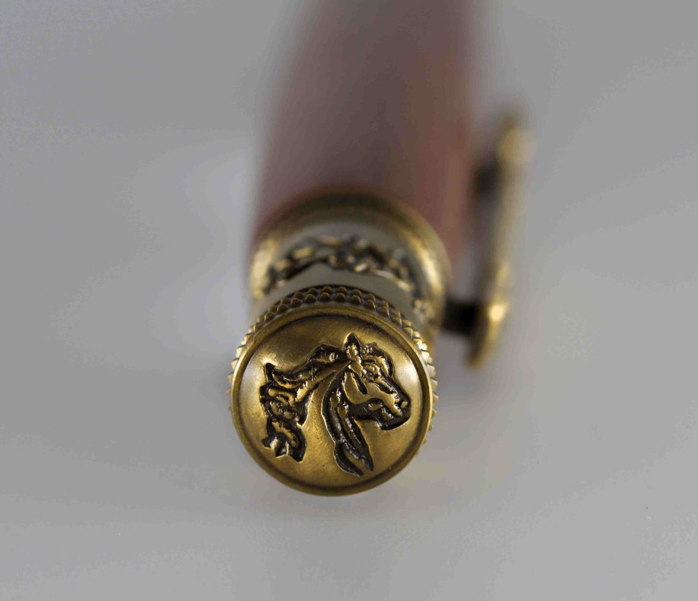 a close up of a pen with a horse head on it