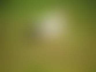 Coming Home? Really?