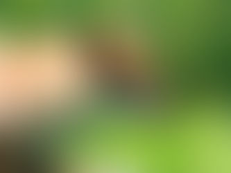 Aesop’s Lost Fable: One Hundred and Thirty One Chickens