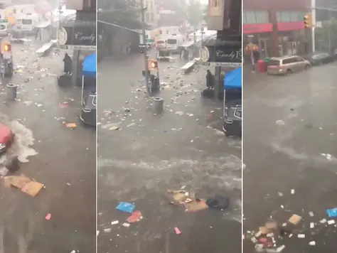 New York Flooding Impacts Marine Pollution and Ecosystems
