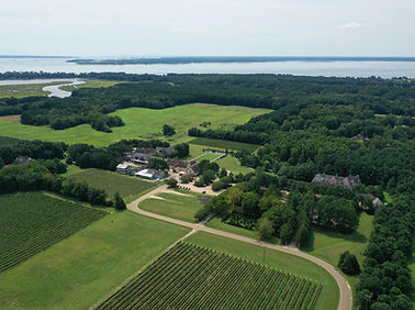 Williamsburg Winery 20220819 - Creative Chameleon Media Aerial Photographer (c) (1).JPG