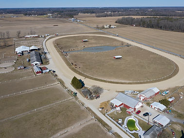 Trot Farm Auction (6).jpg