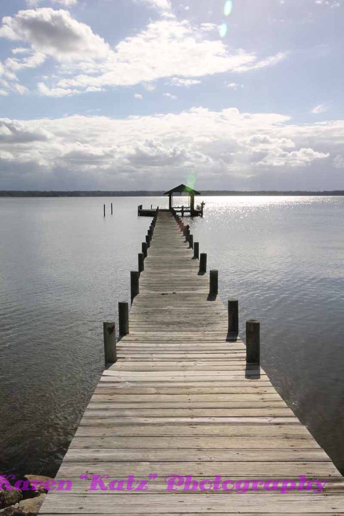 Photography Creative Chameleon Media United States