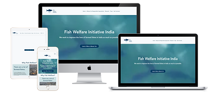 Web Developer, Web Design, Web Development, Design Agency, Graphic Design, nextdesignit