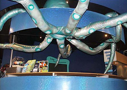 Melbourne Aquarium Octopus