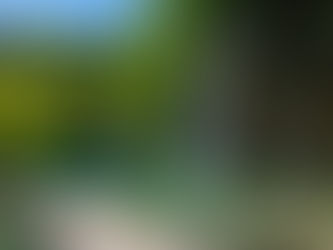 What are the top 20 places to visit in Plitvice Lakes National Park, Croatia 🇭🇷?