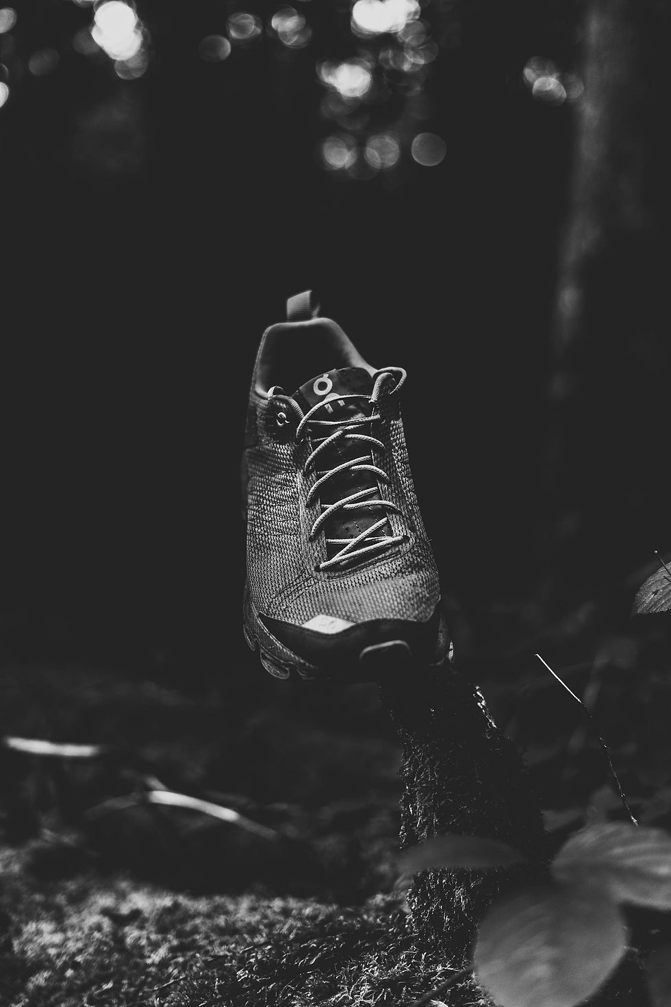 A lone sneaker balances on a moss-covered stump in a dimly lit forest, evoking a sense of adventure and solitude.