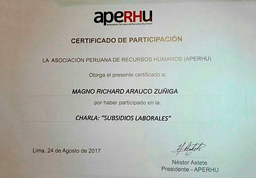 Certificado_subsidio_2.jpg