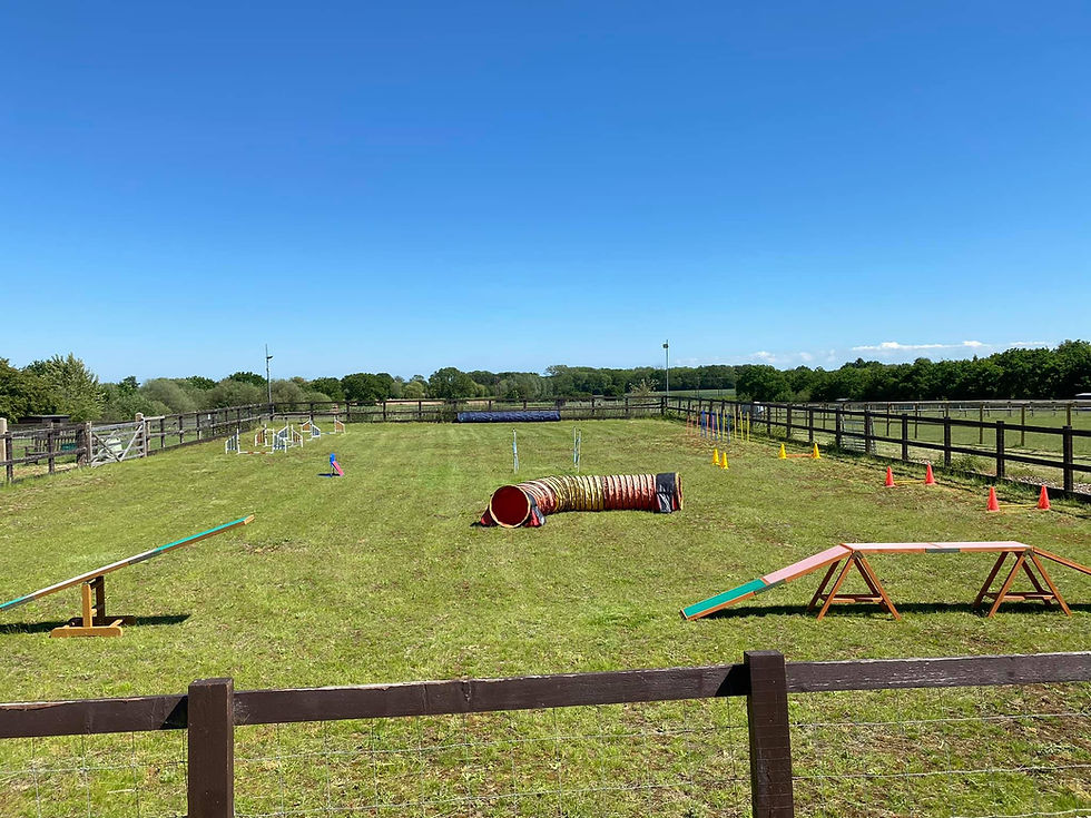 A wide angle photo of a dog training area outdoors with an agility course set up in the grounds