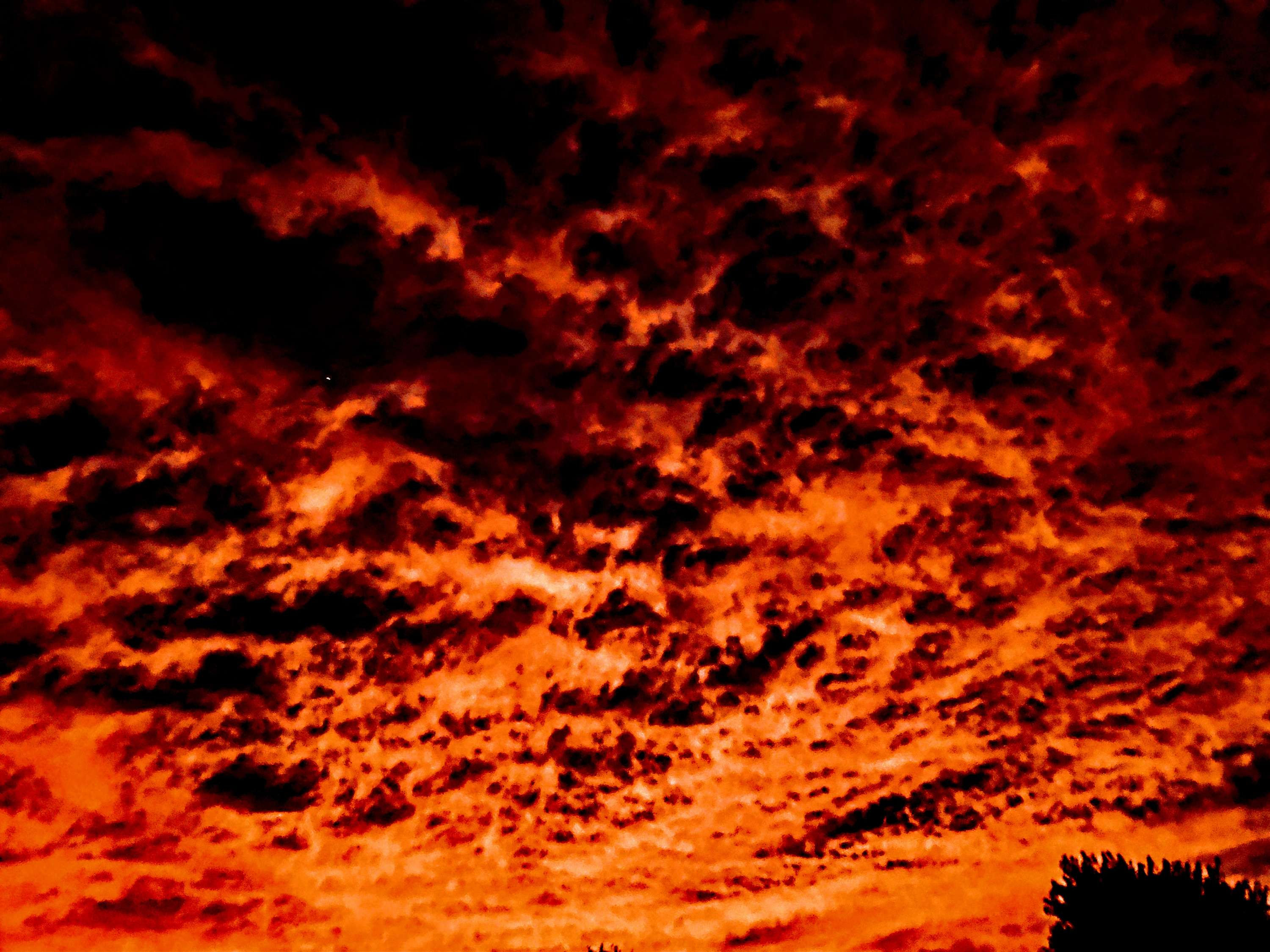 "Hell has no fury....."