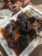 black sea urchins