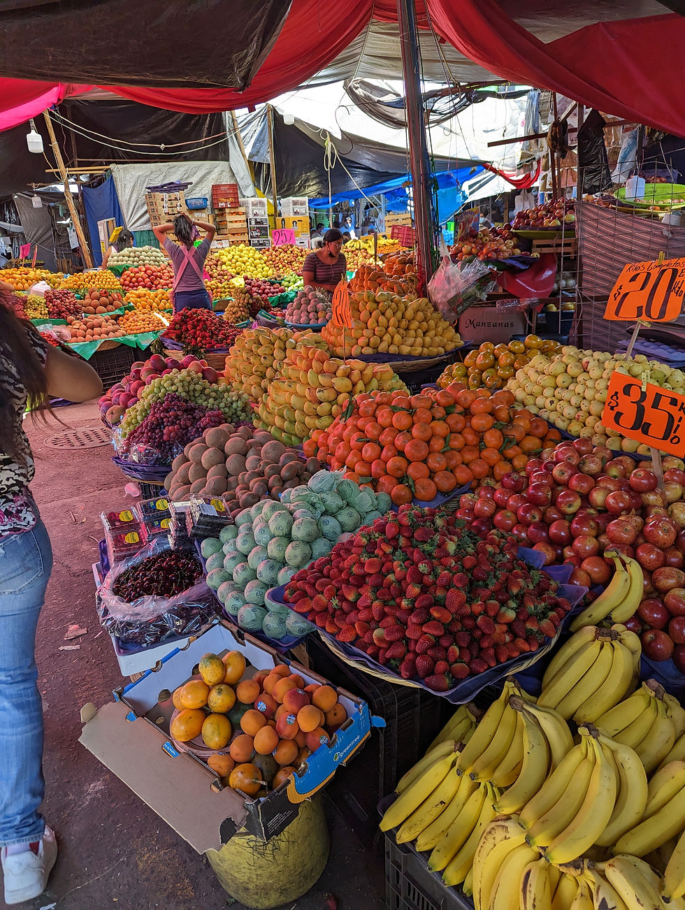 Fruits of many colours in Oaxaca market