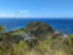 view looking at lush hill and ocean at Apo Island
