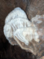 Cave formation